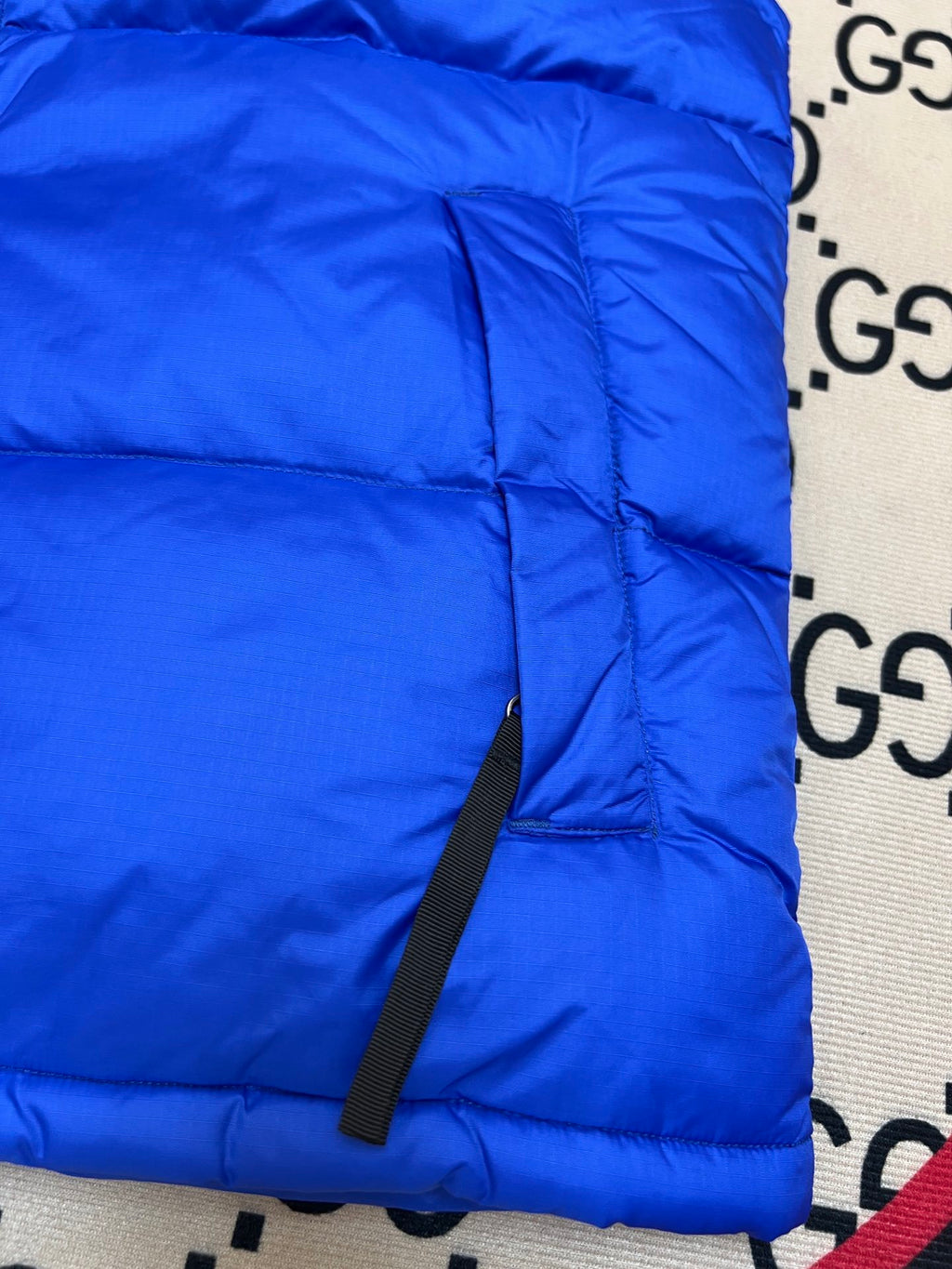 The North Face Blue Nuptse 700 Puffer Vest