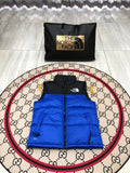 The North Face Blue Nuptse 700 Puffer Vest