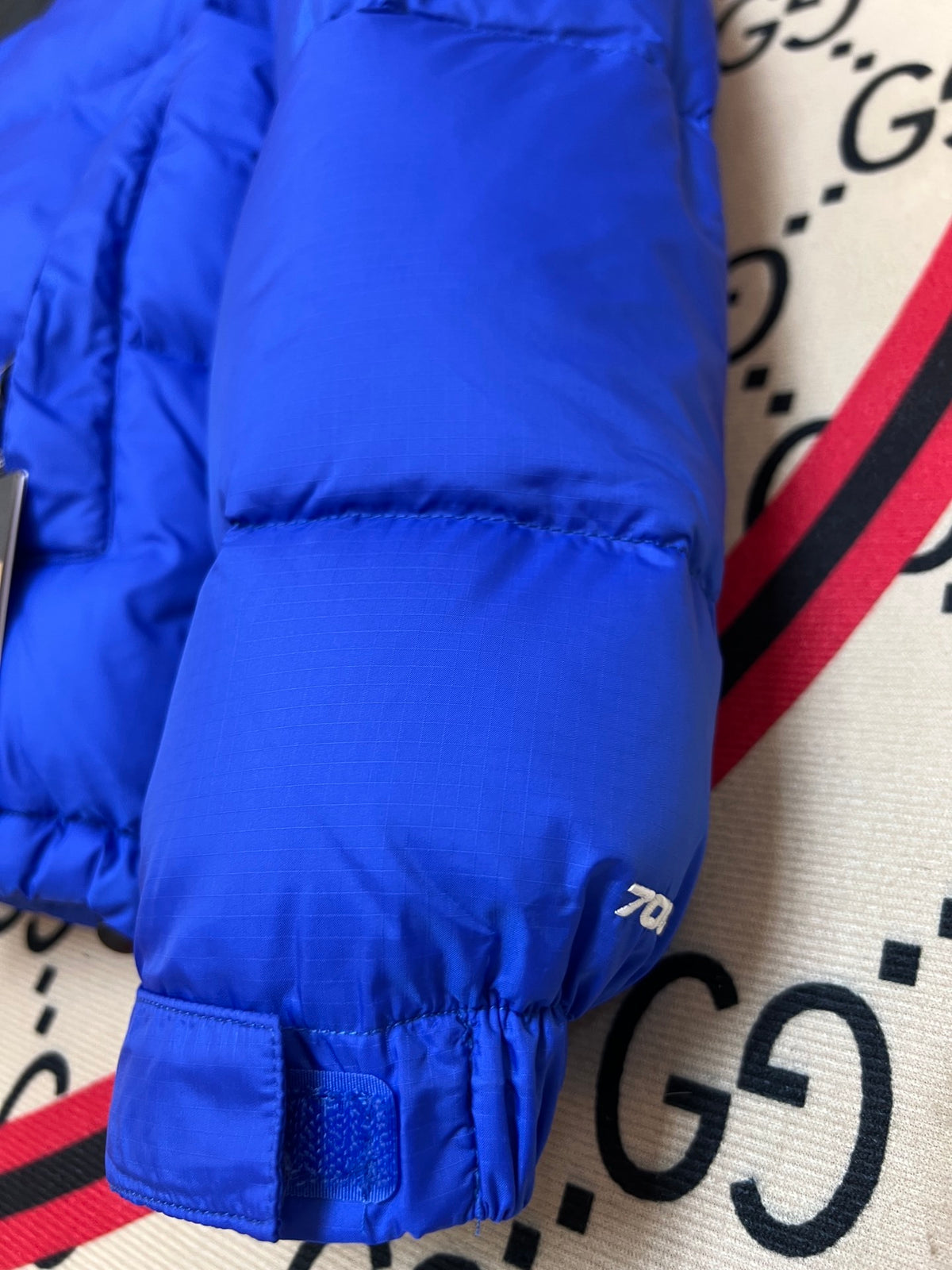 The North Face Blue Nuptse 700-Fill Down Jacket